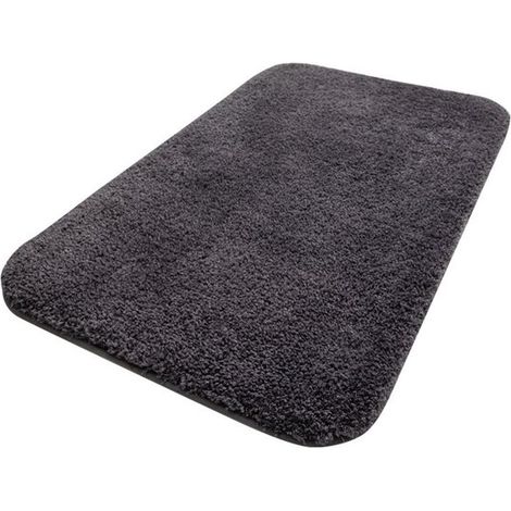 Felpudo antipolvo – Felpudo – Alfombra de entrada absorbente – Ideal para hogares con perros, puertas y pasillos – 60 x 90 cm – Poliéster – Negro (1/5)