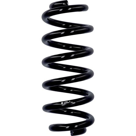 Muelles de serie Eibach ERL Audi traseros R22991 (1/2)