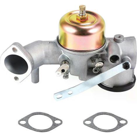 Vergaser mit Dichtung für Briggs & Stratton Motor 491031 490499 491026 281707 12 PS (1/5)