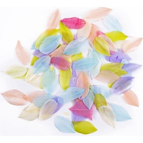 Plumes d'oie pastel 6 cm 5 g