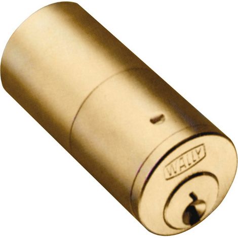 1PZ WALLY ART.54 CILINDRO FISSO