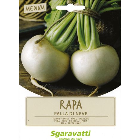 SEMI PER ORTAGGI E VEGETALI rapa palla di neve- 20 pezzi  - SGARAVATTI