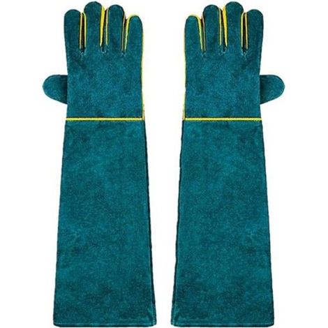 Anti-Morsure Gants de Manutention pour Animal, Sécurité Cuir Gants de Travail pour Le Bain, Le Toilettage, Chat, Oiseau (1/5)