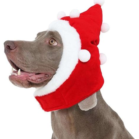 Cappello di Babbo Natale per cani con cinturino regolabile, rosso, taglia M