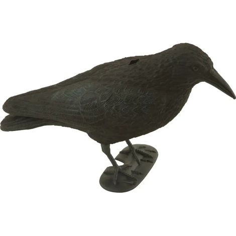 Appelant corbeau 40 x 13 x 18cm (avec socle) (1/3)
