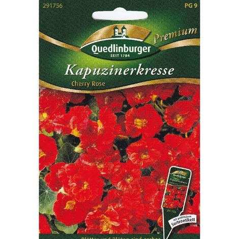 Quedlinburger Kapuzinerkresse Cherry Rose - Premium Blumensamen (1/2)