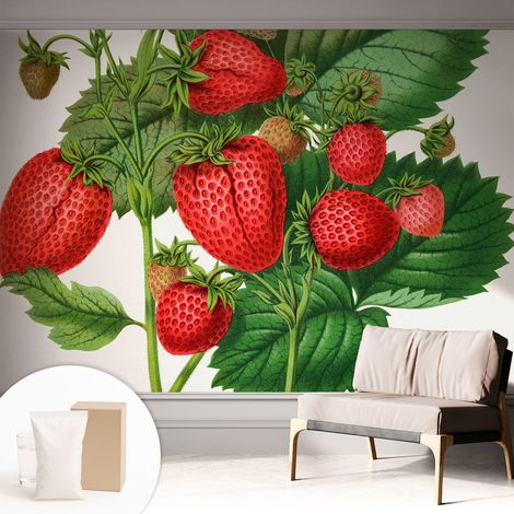 Tapete Vliestapete mit Kleber - modernes Design - Wohnungsdeko - geruchslos - langlebig Sommerfrüchte 312x219 cm (1/5)