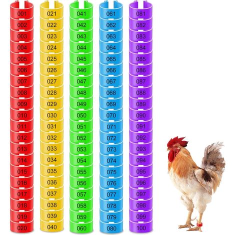Lot de 100 anneaux de jambe de poulet avec chiffres colorés - 16 mm - En plastique - Pour poulet, canard, caille, colombe (1/5)