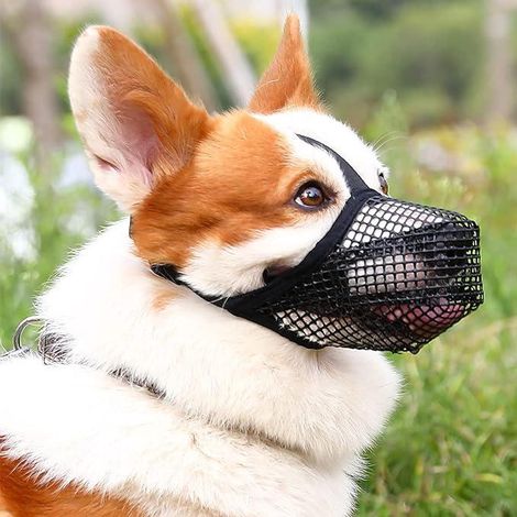 Muselière chien nylon doux noir taille M - masque facial respirant réglable, anti-morsure, anti-aboiement et anti-léchage (1/5)