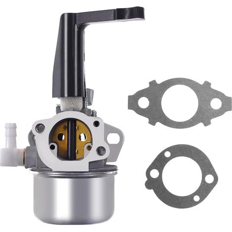 696065 Carburateur de remplacement avec kit de joint pour (1/3)