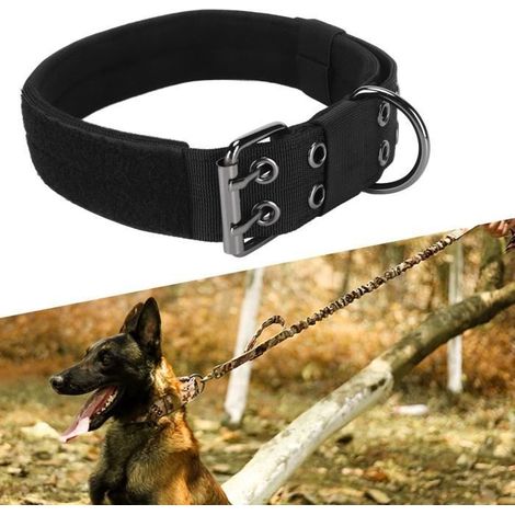 Verstellbares Hundehalsband – Hundehalsband – Stabile Schnalle – Strapazierfähiges Nylon – Atmungsaktiv und leicht (1/4)