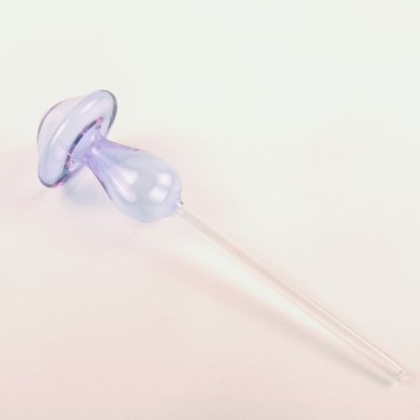 Automatisches Bewässerungssystem aus Glas für Pilzbewässerung, geeignet für selbstbewässernde Pflanzen, zur Dekoration von Innen- und Außengärten (1/5)