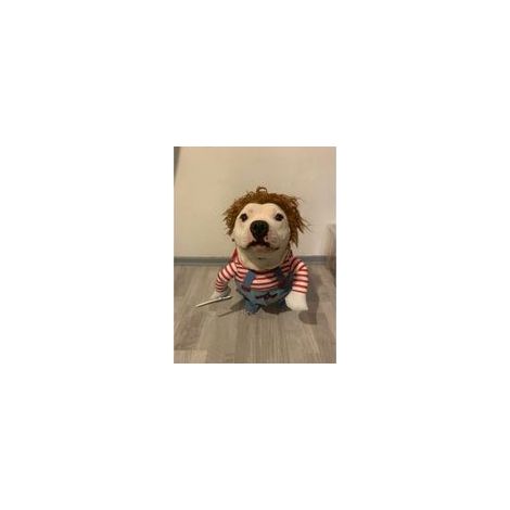 Costume de poupée mortelle pour chien, déguisement cosplay, taille L –