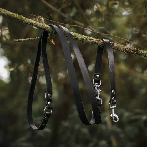Laisse Réglable pour Chien en Cuir Pleine Fleur Noir - Bandoulière et Mains Libres 220 cm - PANGIVO