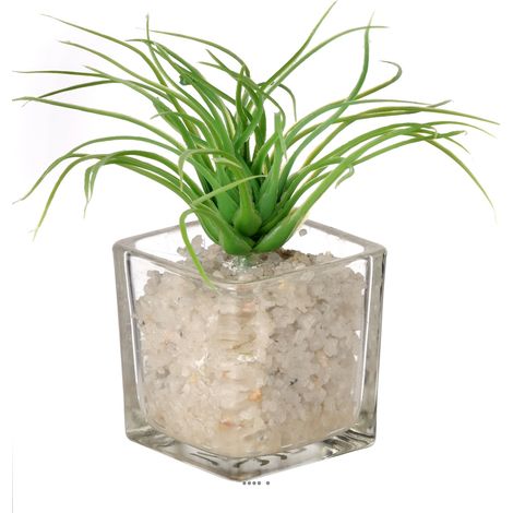 Herbe artificielle succulente cactée en pot verre et cailloux blanc - couleur: Vert - div: E