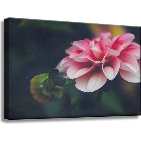 Leinwanddruck Botanica Pink Dahlia 60x40 cm