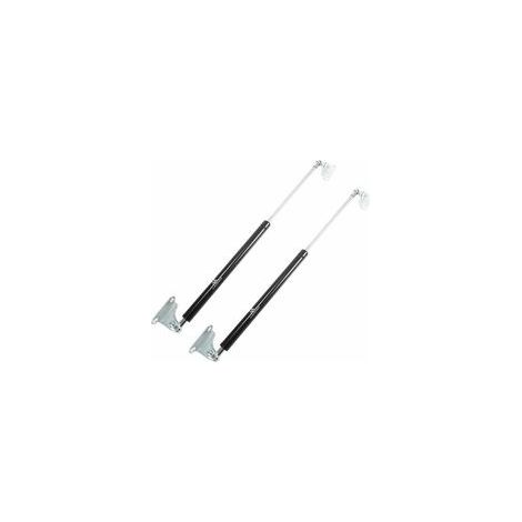 Lot de 2 vérins à gaz 445N – Longueur 500 mm – Métal noir – Pour couvercles de voiture et camping-cars – Installation facile