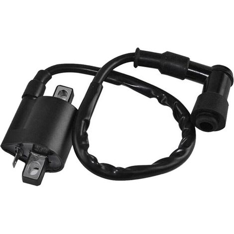 Bobine d’allumage noir Compatible avec Yamaha PW50 PY50 PEEWEE PY PW 50 Dirt Pit Bike Parts (1/4)