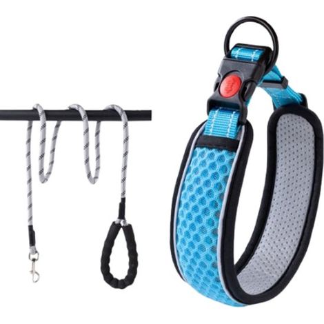 Collare per cani. Collare regolabile con guinzaglio riflettente lungo 1,6 m, adatto a cani di piccola e media taglia con circonferenza del collo di 30-38 cm. (1/5)