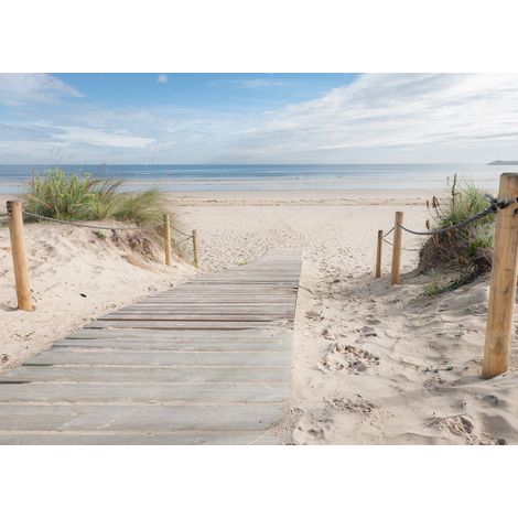 Papier peint intissé chemin de plage ensoleillée 375 x 270 cm