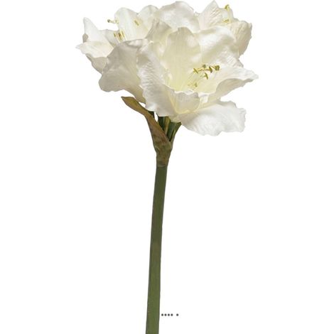 Amaryllis artificiel H 65 cm Superbe Crème - couleur: Crème