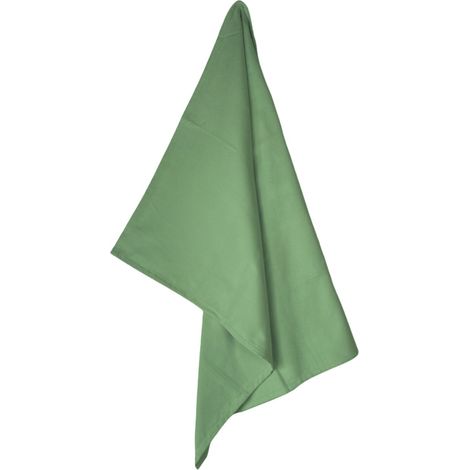 Asciugamano Microfibra 95x145 cm, Telo Ultra Assorbente e Leggero, Asciugatura Rapida per Casa, Palestra e Viaggi Verde (1/5)