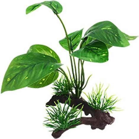 Aménagement aquarium – Bois de sarrasin vert immergé – Plantes aquatiques décoratives (1/5)