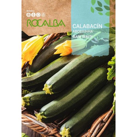 Rokalba Seeds Calabacin Black Beauty 25 Gr
