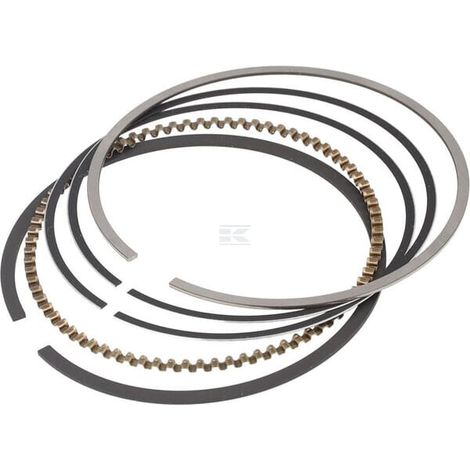 Jeu de bagues BRIGGS & STRATTON 592957 (1/2)