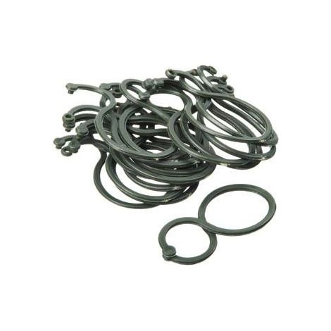 Nature – Anneaux de tuteurage pour tomates – Sachet de 25 – Plastique vert – Double anneau Ø 30/20 mm pour fixation facile (1/5)