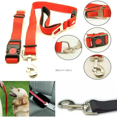 LEINEMITSICHERHEITSGURTUNDVERSTELLBAREMAUTO-HALSBANDFÜRHUNDEUNDKATZEN
