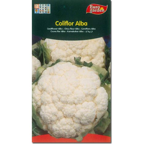 semillas fito horticolas coliflor alba 00087 (caja 10 unidades)