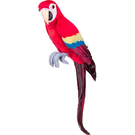Pappagallo H 70 cm