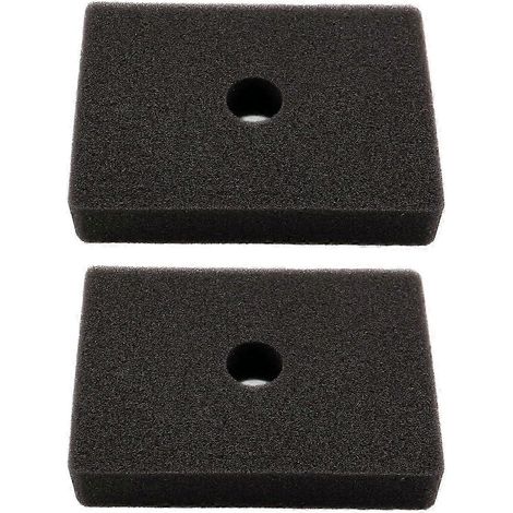 Filtres à air en mousse pour générateur Honda ED300 ED300K1 EM500 EX500K1 EM600, référence 17211-892-000 - lot de 2 - pour filtration et entretien (1/5)