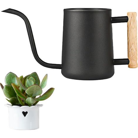 1 Arrosoir,Acier Inoxydable,Bec Long 16cm,Capacité 1000ML,Poignée Bois,Jardin Intérieur (1/5)