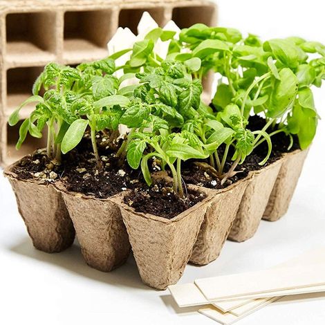 Trade Shop - VASI VASETTI BIODEGRADABILI FÜR PIANTIA FIORI SEMENZA 40PZ 6X6X4.5CM - (1/2)