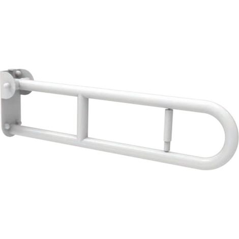 Barra maniglione ribaltabile cm 60 piastra con porta rotolo (1/3)
