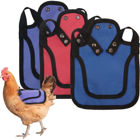 Ensemble de selle pour poule en 3 pièces, tablier pour poule, protège-plumes pour le dos et les flancs, accessoires pour volailles (1/4)
