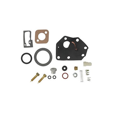 Kit Réparation Carburateur Adaptable Pour Briggs & Stratton 92900, 93900 Sauf Pulsa-jet,94900, 110900 à 114900 (3 & 4ch Verticau
