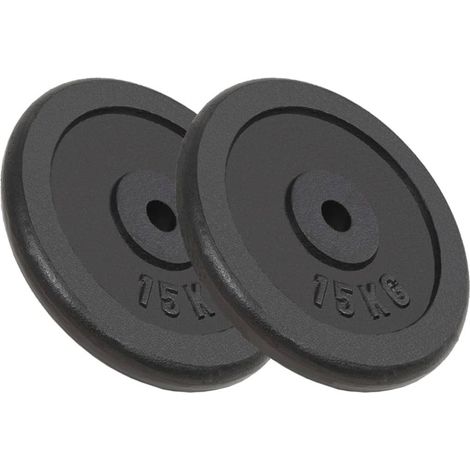 Hantelscheiben 2 Stk. 2x15 kg Gusseisen