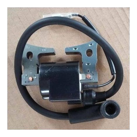 Robin EH12 Zündspule, Hochspannungszündspule, Zündspule, geeignet für den Robin EH12 Motor. (1/3)