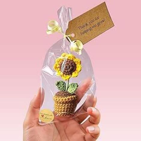 Cadeaux pour enseignants - Cadeaux tournesol - Jolis cadeaux de remerciement pour les enseignants - Le cadeau idéal pour une (1/5)
