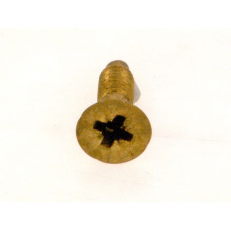 BOSCH Vis (10x), 87034020020