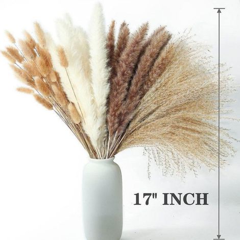 Décoration en herbe de pampa séchée naturelle - 105 pièces couleur beige - idéale pour mariage, décoration de salon et aménagement intérieur (1/5)