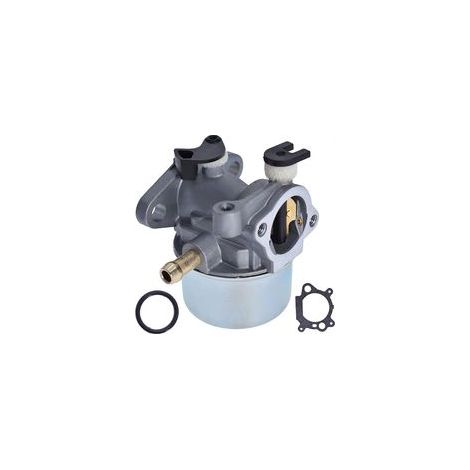 Carburateur de rechange pour Briggs & Stratton 799868 498170 498254 497314 497347 6,5 HP 5 HP 124T02 124T05 124T07 126M02 4 temps petit moteur (1/4)
