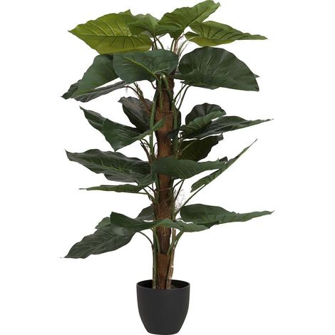 Taropflanze mit Topf 65X65X120 cm (1/5)