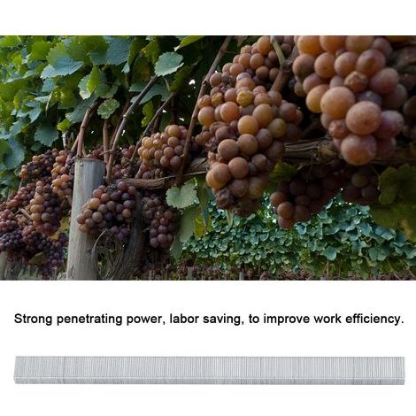 Rankbinder 604C, 10.000 Stück, Gartenbefestigungsnägel, Astbindewerkzeug, Rankhilfen für Tomaten