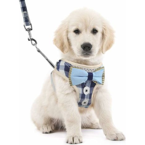 Gilet Harnais et Laisse pour Chien,Harnais Rembourré en Mesh Doux pour Chiots, Anti Traction Respirante Réglable Harnais Gilet avec nœud Papillon pour Chiot pour pour petits et moyens chiens chats (1/5)