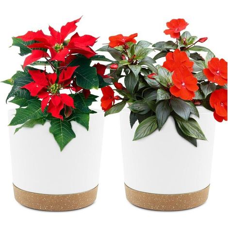 Set of 2 16.5cm Plant Pots, Indoor Planters with Drainage Holes and Removable Base, Modern Decorative Saucer for Outdoor Planters (White 16.5cm) (1/5)