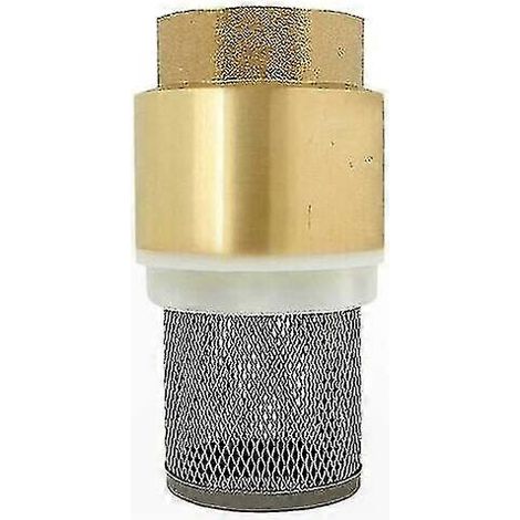 Clapet anti-retour 3/4 pouce avec crépine intégrée, tailles 1/2 à 3 pouces pour pompes, usage industriel et domestique. (1/3)